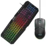 Green Lion GK-400 RGB Gaming Keyboard + Mouse